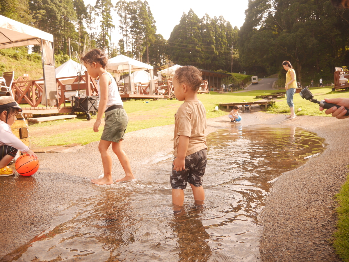 f:id:aysaid1001:20200914190814j:plain f:id:aysaid1001:20200914190814j:plain