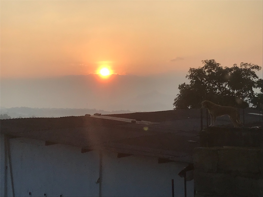 f:id:aytksh:20231221192153j:image f:id:aytksh:20231221192153j:image
