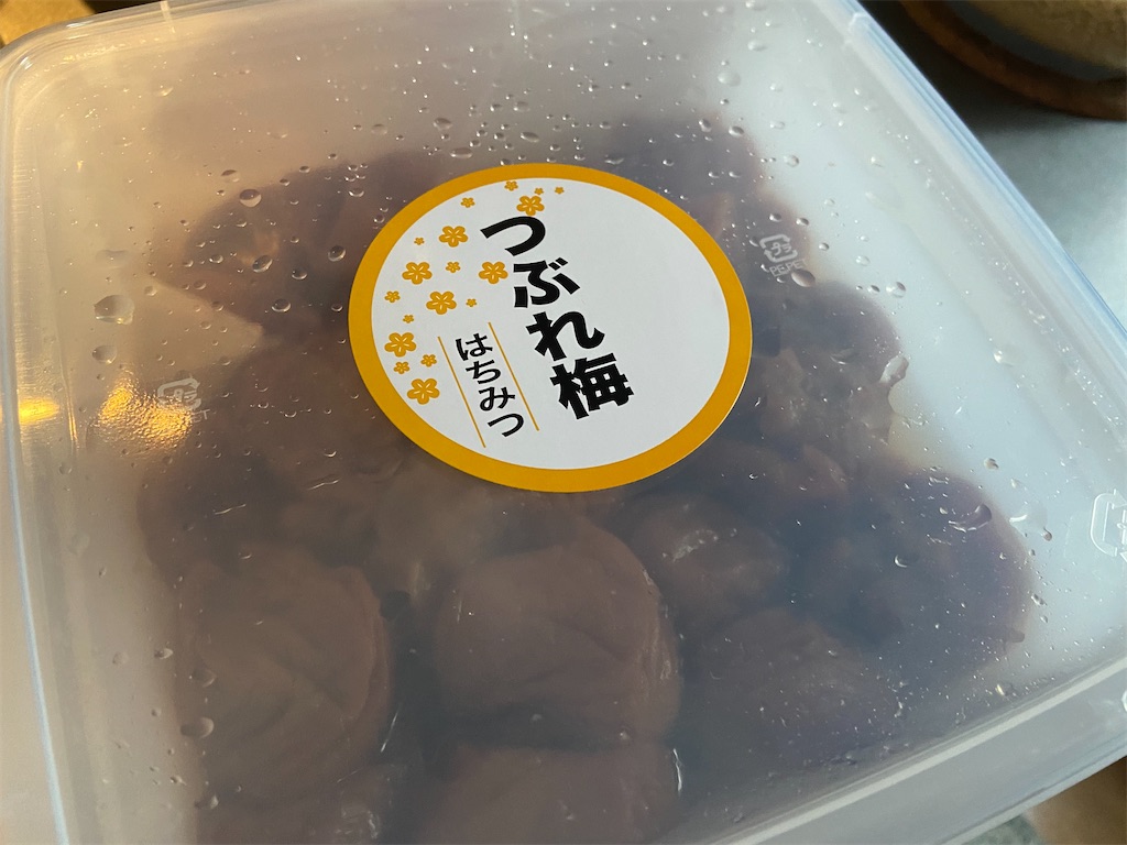f:id:aytksh:20240825174204j:image
