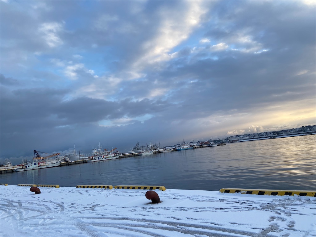 f:id:aytksh:20250104084601j:image