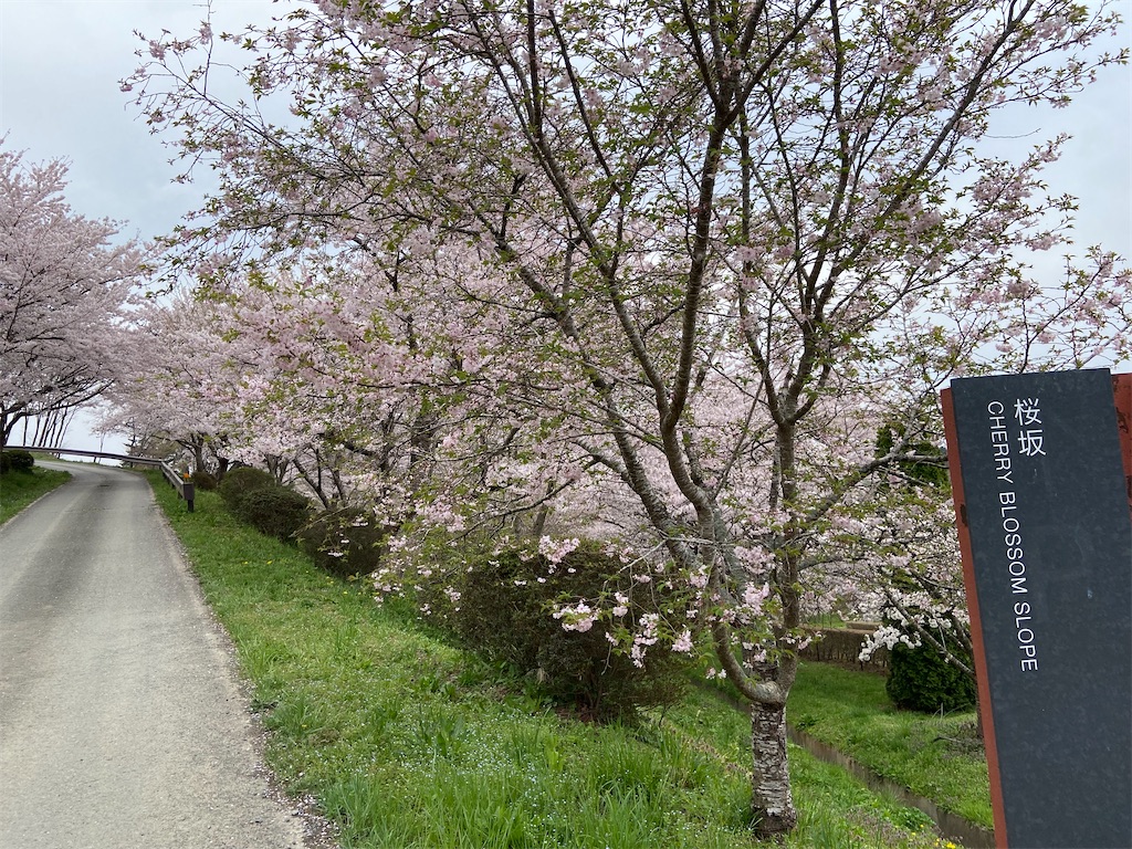 f:id:aytksh:20250420181723j:image