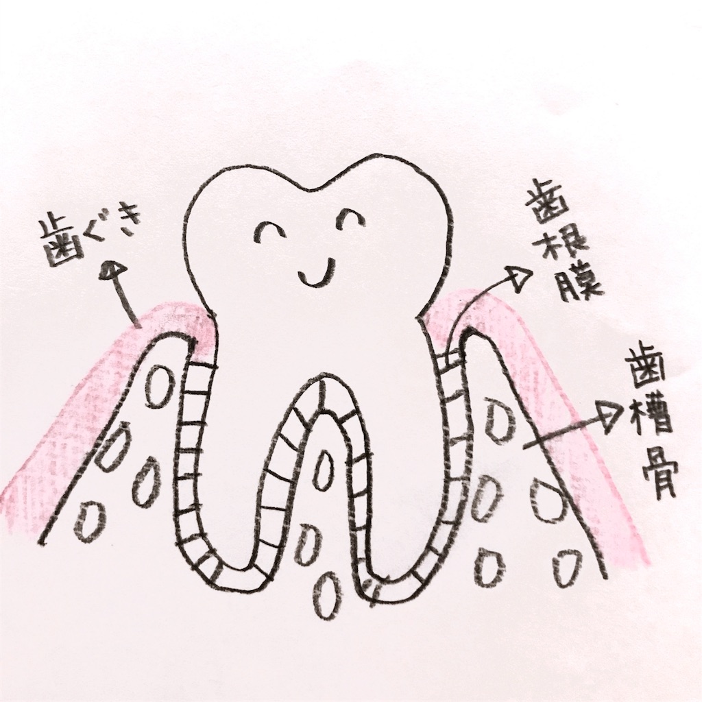 f:id:ayuchanhonpo1105:20170823213831j:image
