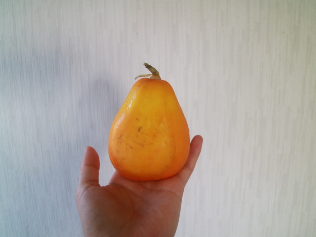 f:id:ayucoffee:20180711124517j:plain f:id:ayucoffee:20180711124517j:plain