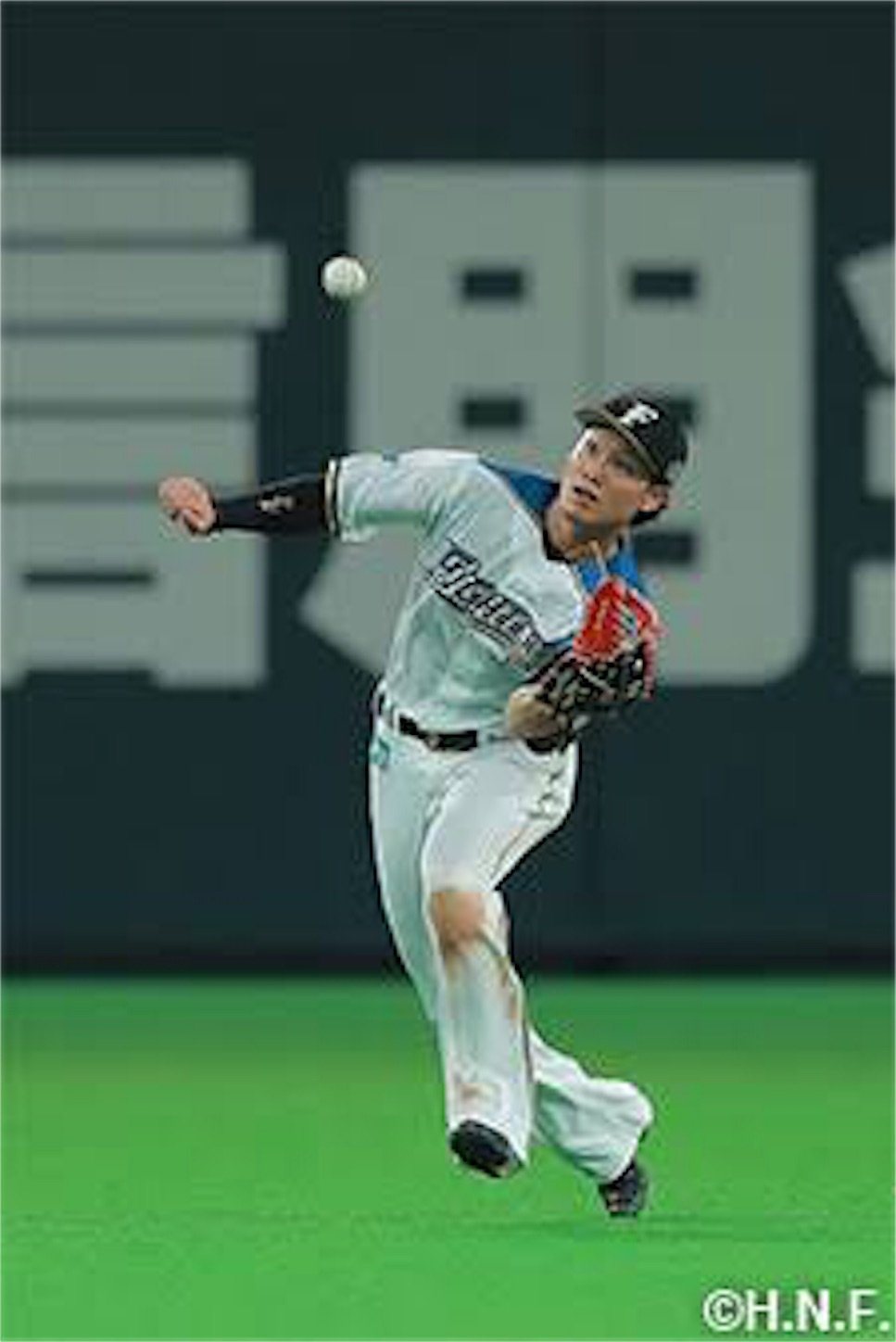 f:id:ayukunsan:20190614002248j:image