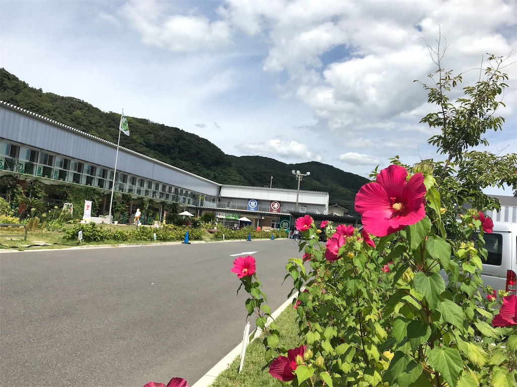 f:id:ayumamatyan:20190314164417j:image