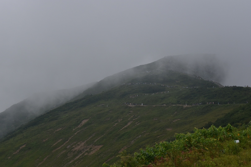 f:id:ayuman18:20160814230559j:plain