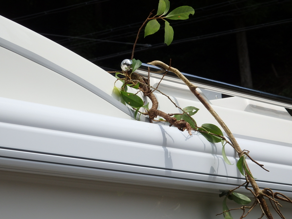 f:id:ayuman18:20160820102733j:plain