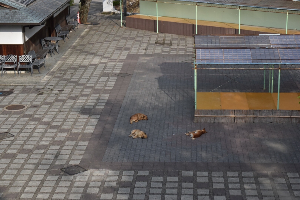 f:id:ayuman18:20160928191901j:plain