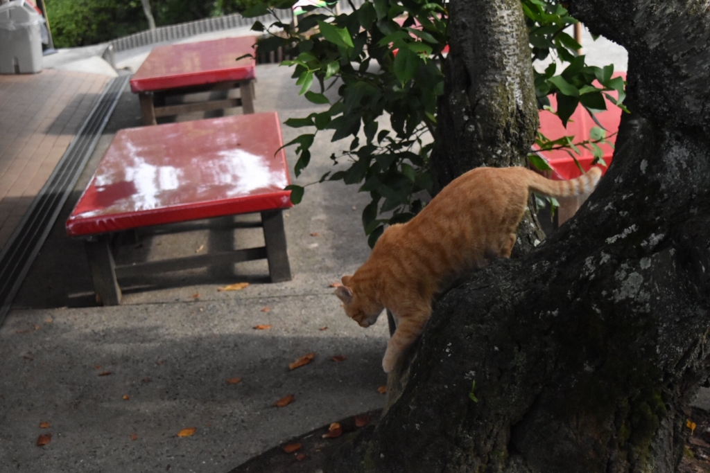 f:id:ayuman18:20160928191917j:plain