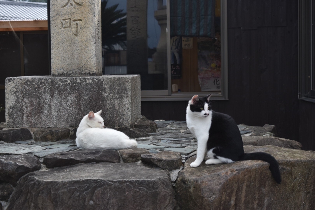 f:id:ayuman18:20161012221301j:plain