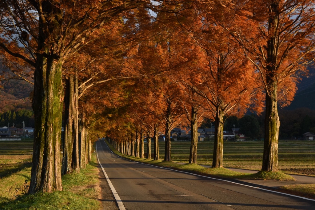 f:id:ayuman18:20170115111933j:plain