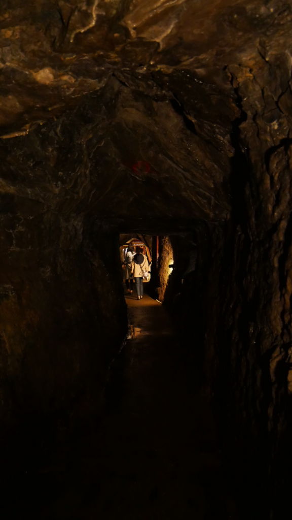 f:id:ayuman18:20170508001202j:plain