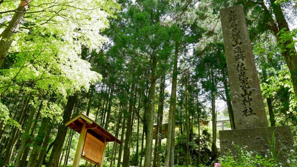 f:id:ayuman18:20170508002441j:plain