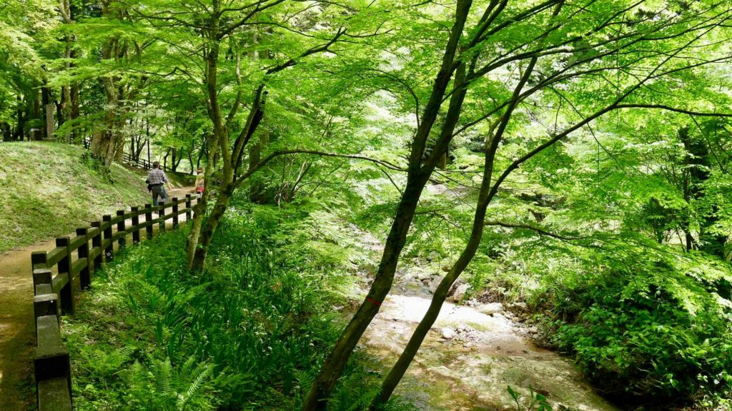 f:id:ayuman18:20170508002729j:plain