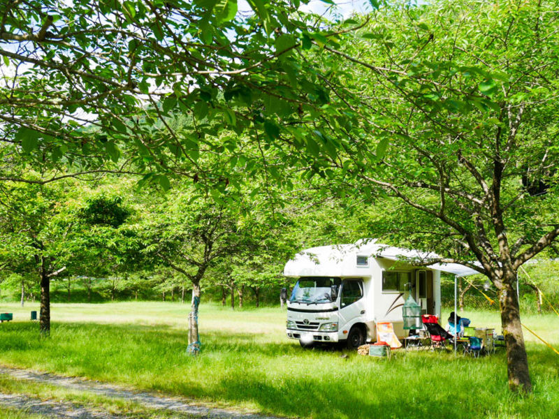 コルドリーブスin梅の木キャンプ場