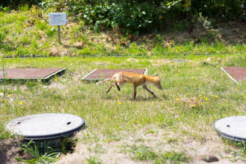 f:id:ayuman18:20170923004507j:plain