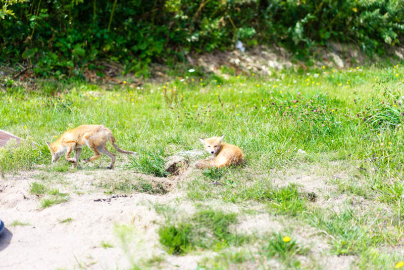 f:id:ayuman18:20170923004556j:plain