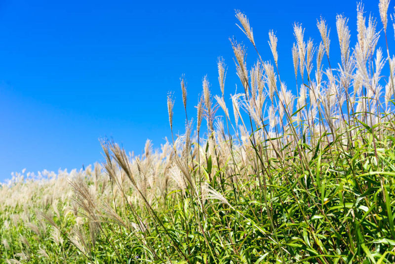 f:id:ayuman18:20170923004635j:plain