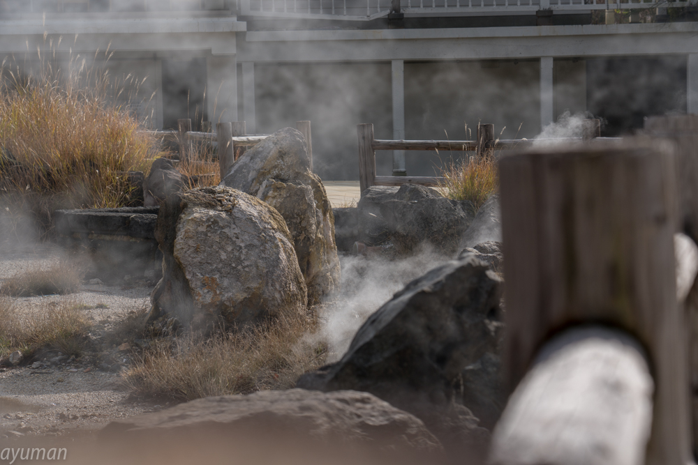 f:id:ayuman18:20180126072738j:plain