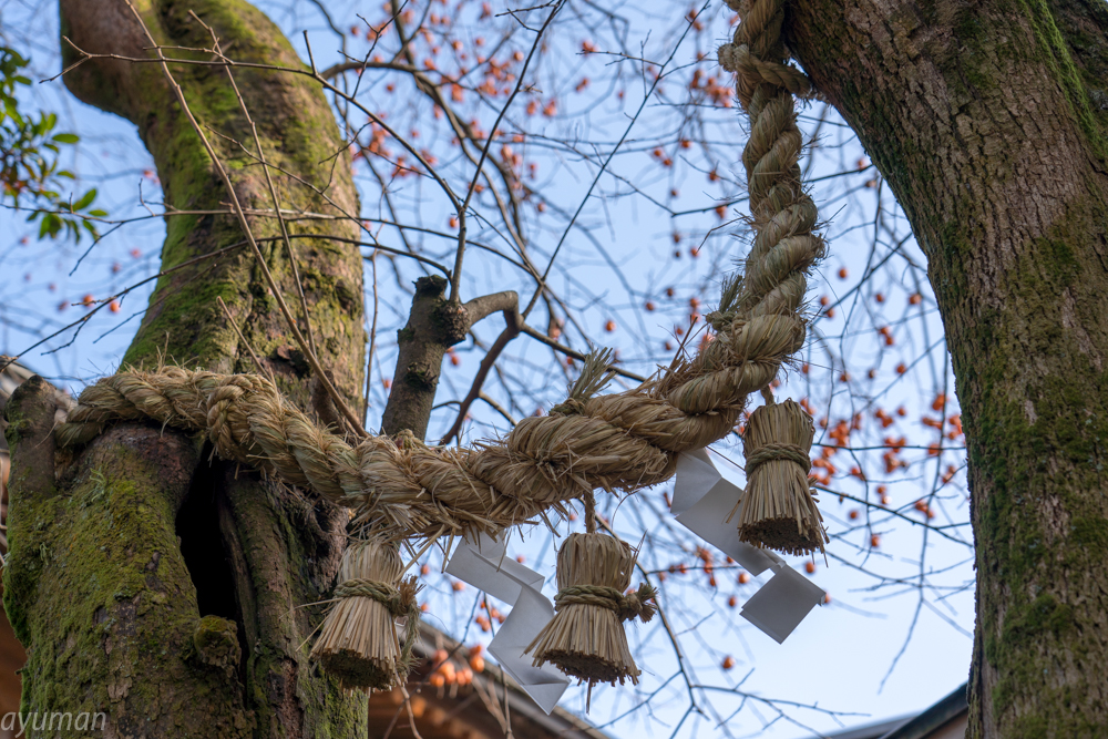 f:id:ayuman18:20180126073113j:plain