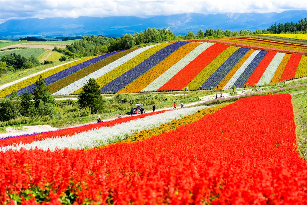 f:id:ayuman18:20180524164318j:image f:id:ayuman18:20180524164318j:image