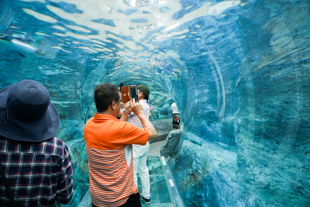 f:id:ayuman18:20180728224327j:plain