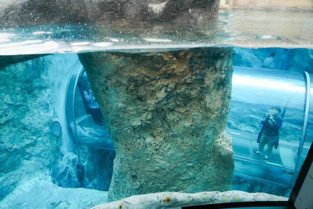 f:id:ayuman18:20180728224331j:plain