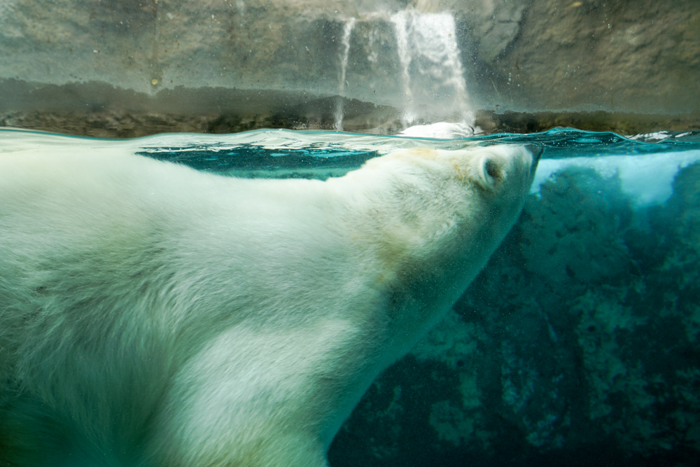 f:id:ayuman18:20180728224345j:plain