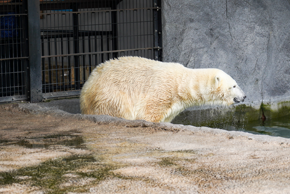 f:id:ayuman18:20180728224350j:plain