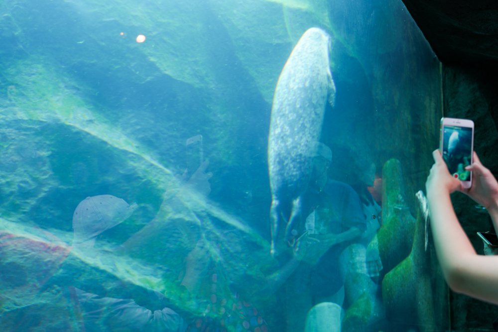 f:id:ayuman18:20180729101626j:plain