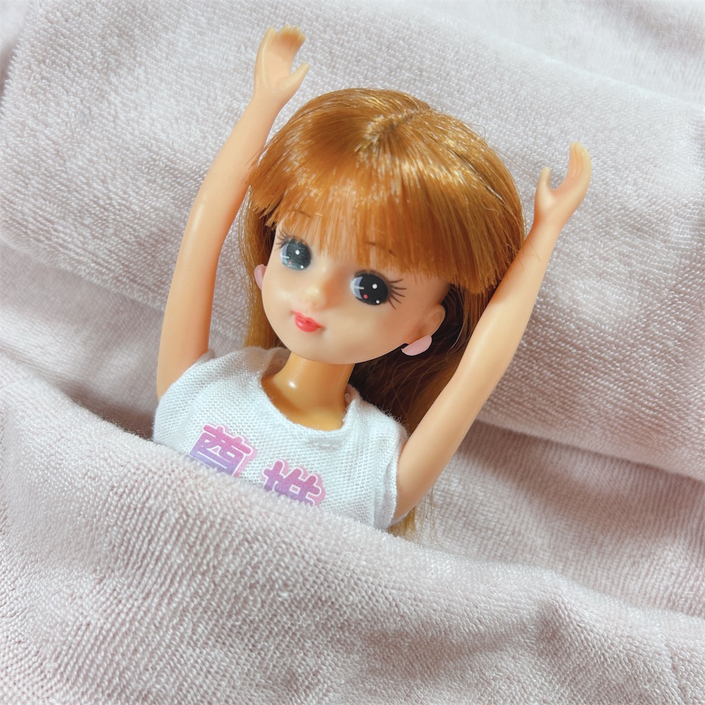 f:id:ayumi2007:20260213222936j:image