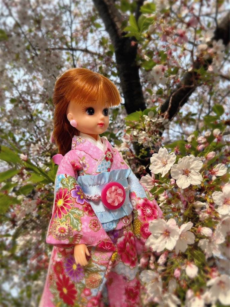 f:id:ayumi2007:20260423092216j:image f:id:ayumi2007:20260423092216j:image