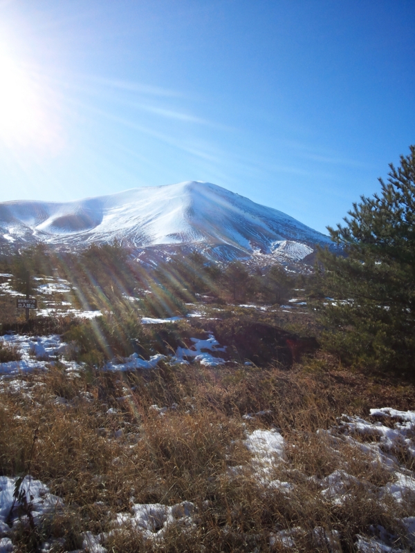 f:id:ayumihome:20121216131043j:image:w360:left