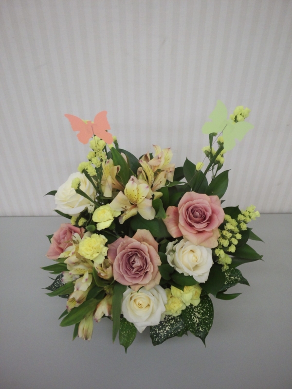 f:id:ayumihome:20130417201513j:image:w360:left