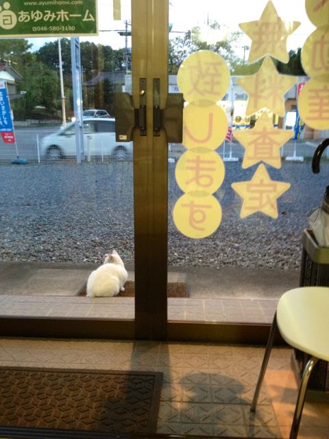 20131012172438