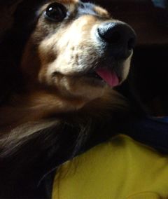 f:id:ayumihome:20131130180106j:image