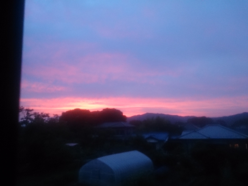 f:id:ayumihome:20150702191238j:image:w360