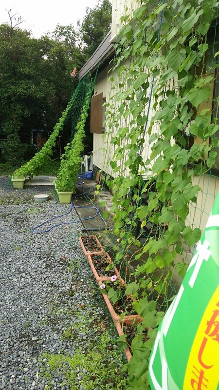 f:id:ayumihome:20150720174144j:image:w360