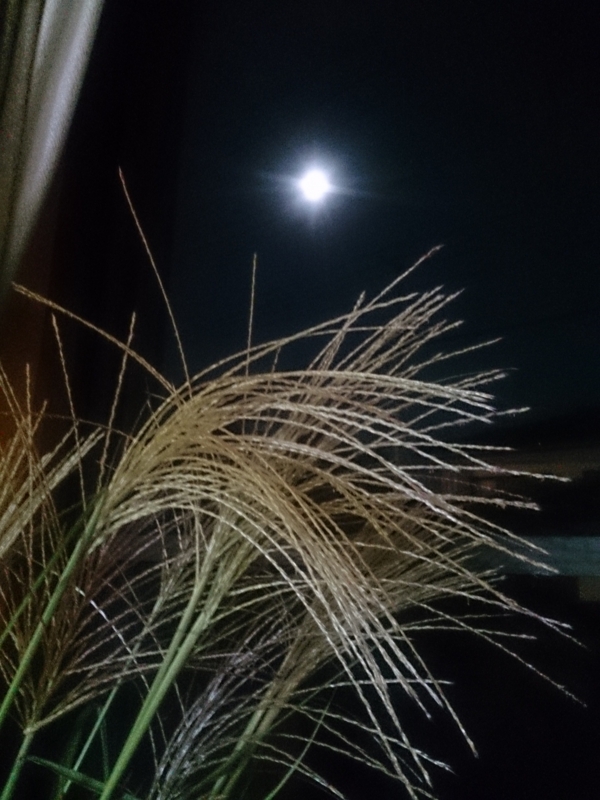 f:id:ayumihome:20150927194131j:image:w360