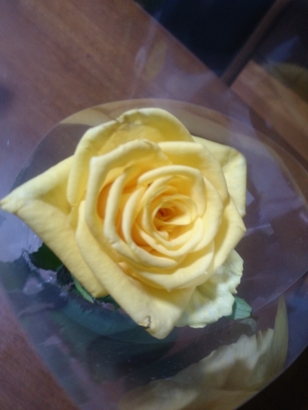 f:id:ayumihome:20151007172016j:image:w360