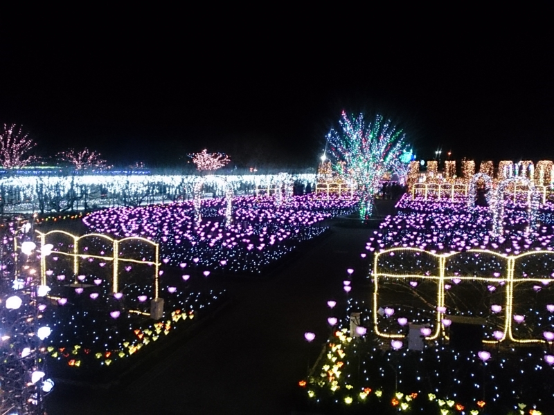 f:id:ayumihome:20170125182603j:image:w360