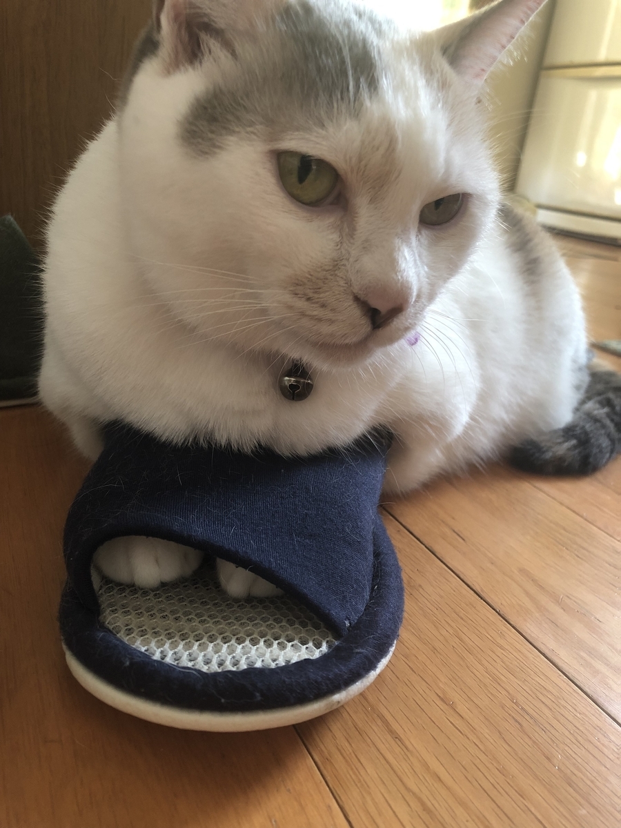 f:id:ayumihome:20191005095741j:plain f:id:ayumihome:20191005095741j:plain