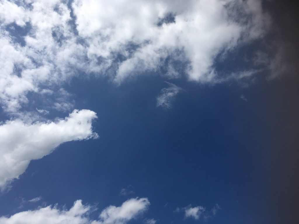 f:id:ayuminokuni:20170814171854j:plain f:id:ayuminokuni:20170814171854j:plain