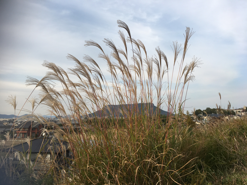 f:id:ayuminokuni:20171119233652j:plain f:id:ayuminokuni:20171119233652j:plain