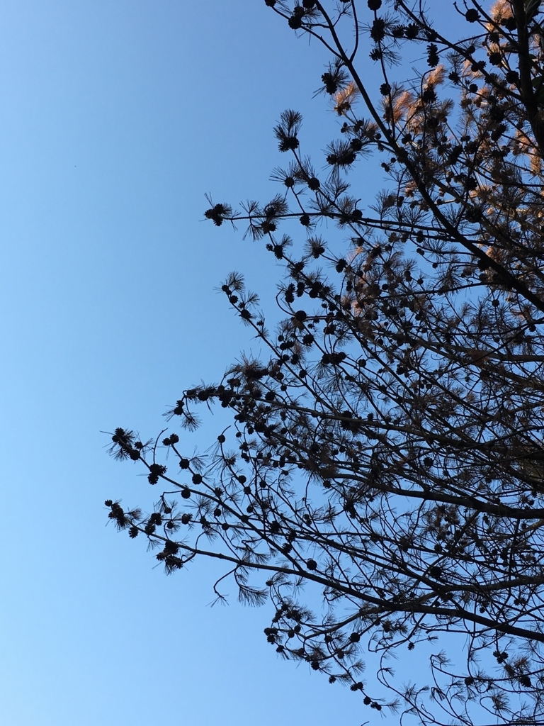 f:id:ayuminokuni:20171228231143j:plain f:id:ayuminokuni:20171228231143j:plain