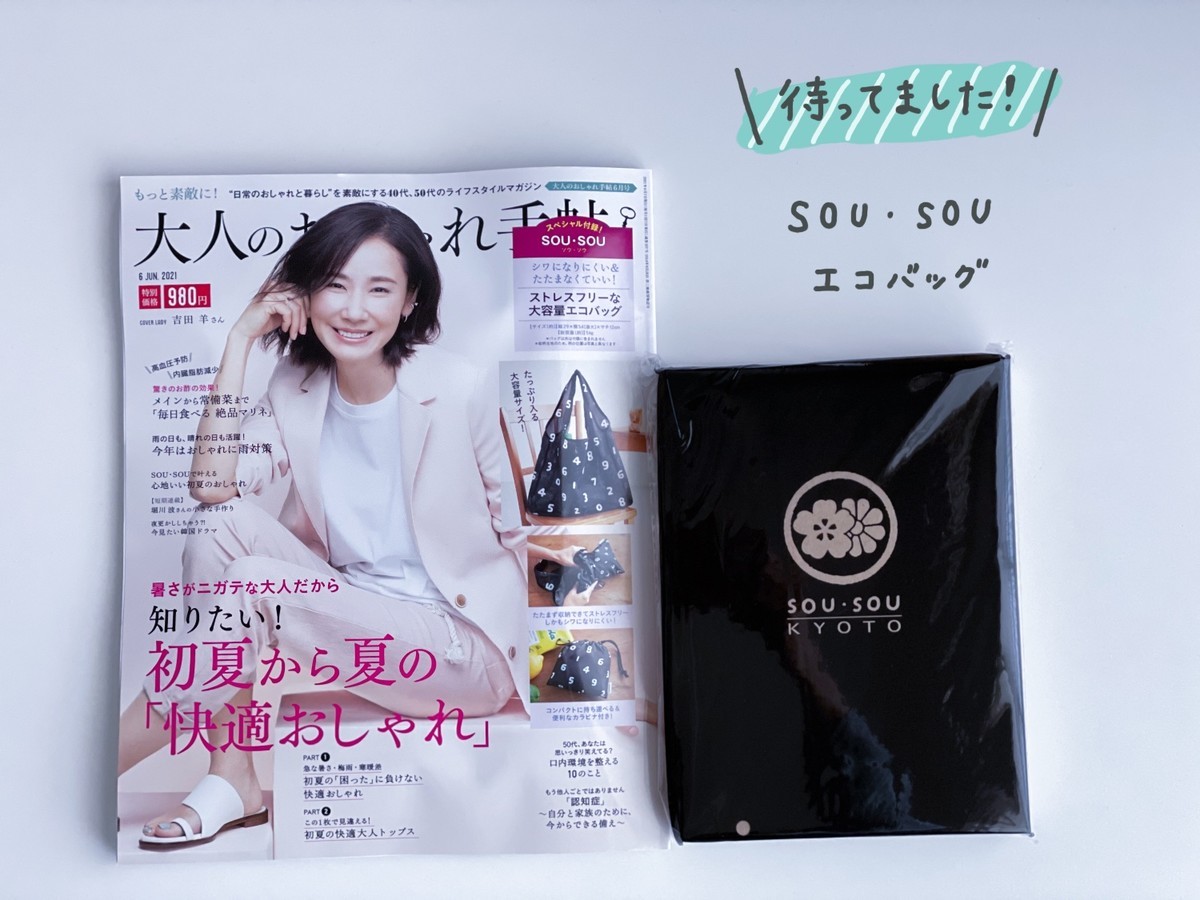 f:id:ayumix81:20210506161905j:plain