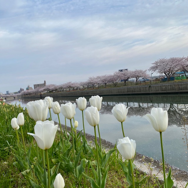 f:id:ayumiyori:20200414185405j:plain