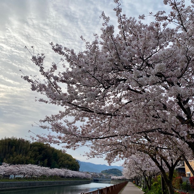 f:id:ayumiyori:20200414190657j:plain