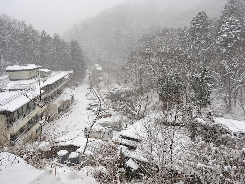 f:id:ayumu27:20181230133628j:image f:id:ayumu27:20181230133628j:image