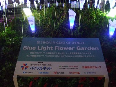 f:id:ayumylife:20200727195549j:plain